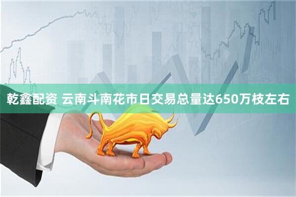 乾鑫配资 云南斗南花市日交易总量达650万枝左右